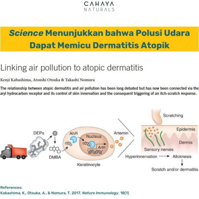 Cahaya Naturals Physical Sunscreen SPF 50+ 4x Barrier Protection Sunblock