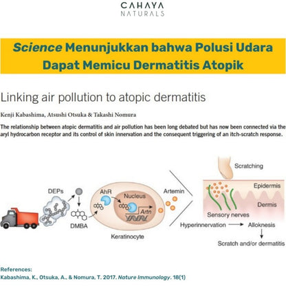 Cahaya Naturals Physical Sunscreen SPF 50+ 4x Barrier Protection Sunblock