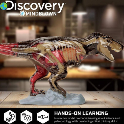 Discovery 1423000971 4D T-Rex Anatomy Kit Mindblown Educational STEM
