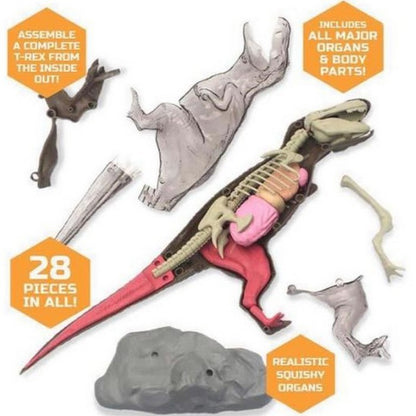 Discovery 1423000971 4D T-Rex Anatomy Kit Mindblown Educational STEM