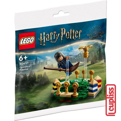 LEGO Polybag 30651 Harry Potter Quidditch Practice