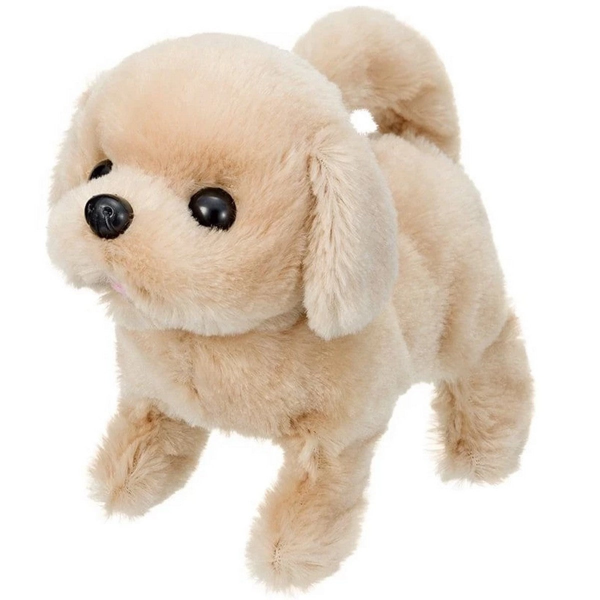 Iwaya Boneka Plush Anjing Baby Retriever 3114-6 Mainan