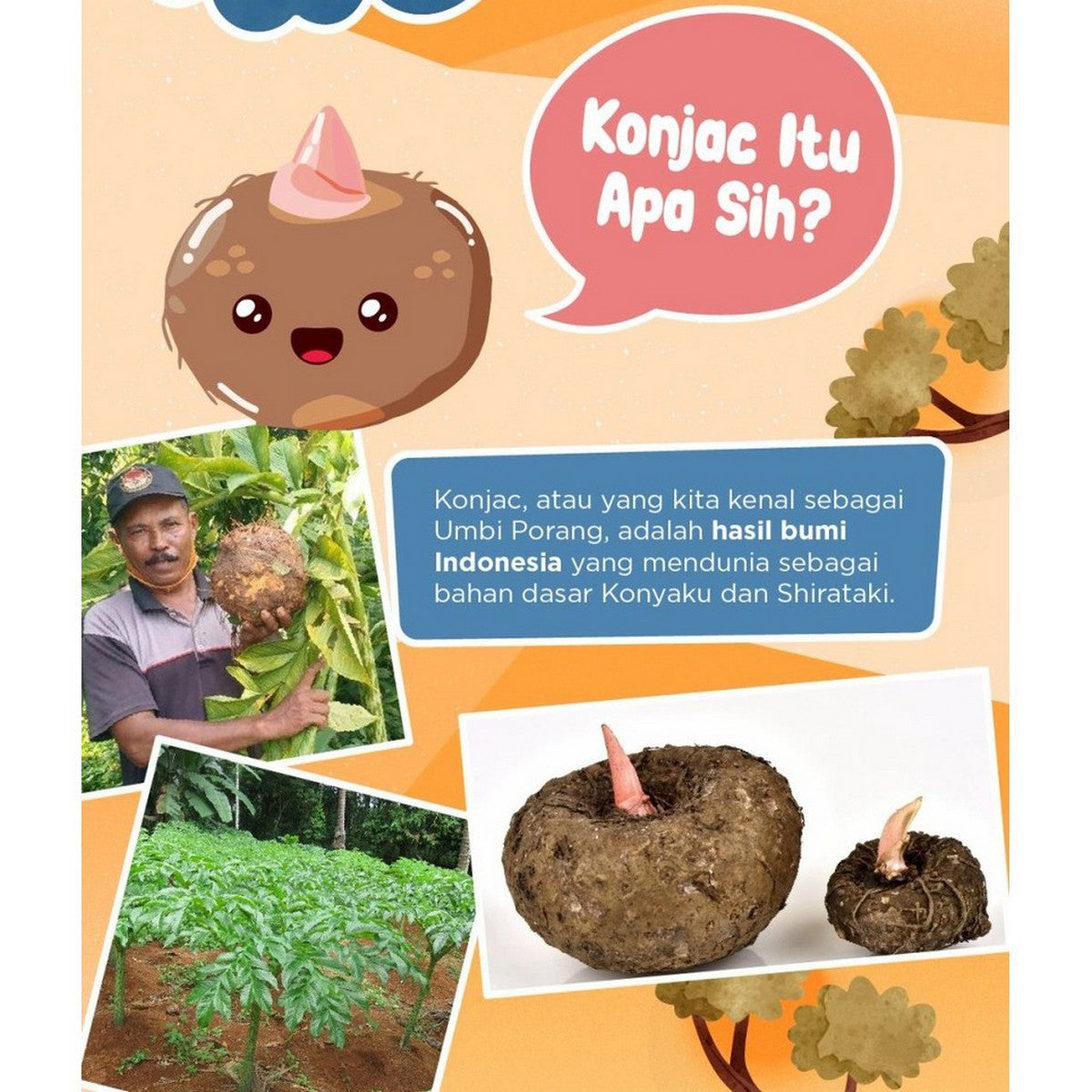 YUUKA FOOD Konjac Rice 1000gr Beras Porang Nasi Sehat 500gr 1kg Rendah Gula Kalori Gluten Free