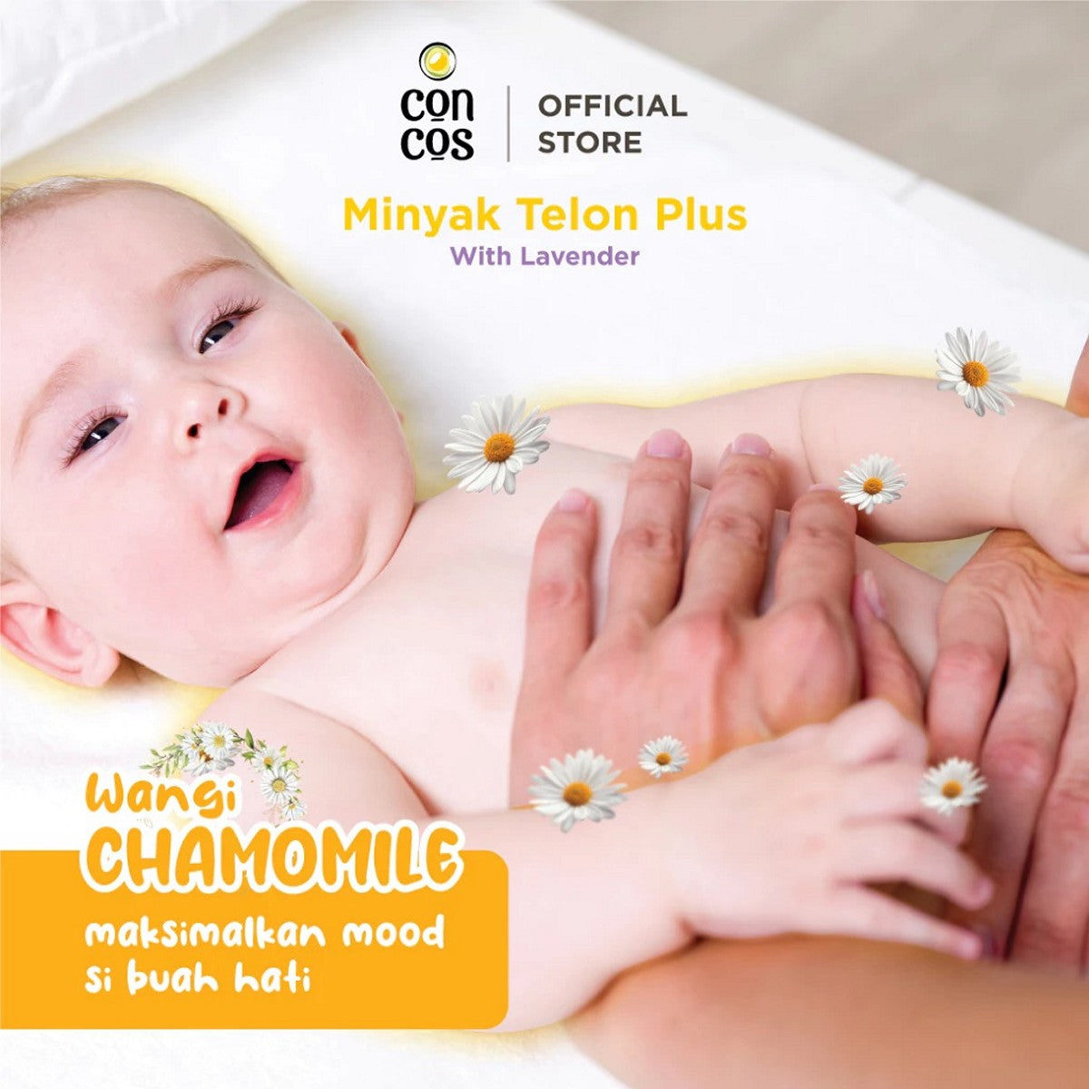 Concos Minyak Telon Plus With Lavender  Aroma 100 ml 60 ml Baby Oil
